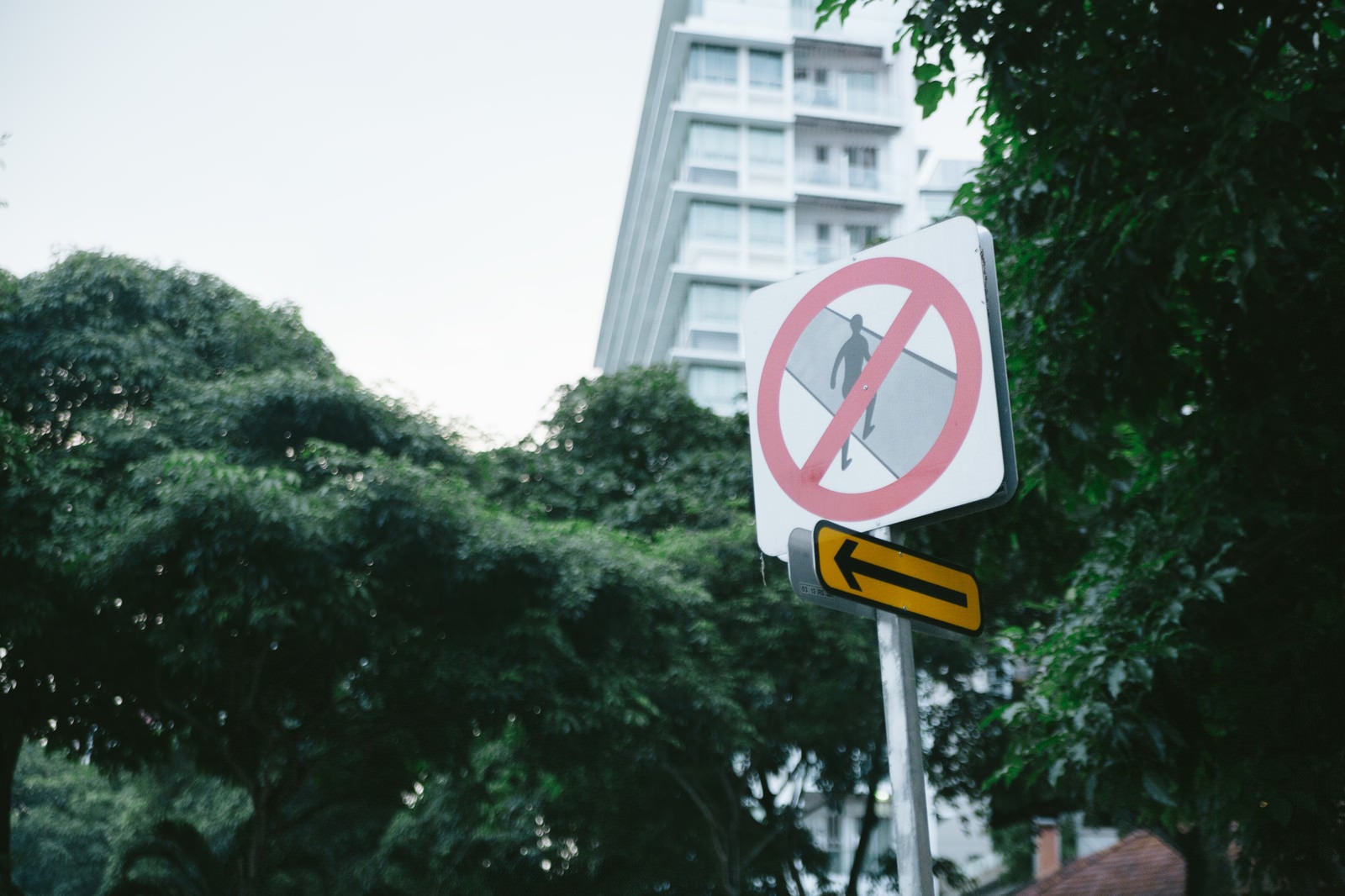 「この道路は横断禁止です（標識）」の写真