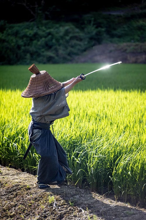 風に揺れる稲と振りかざした日本刀の写真