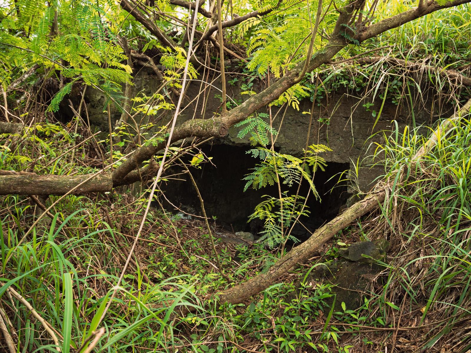 「陸軍野砲陣地トーチカの後方部分」の写真