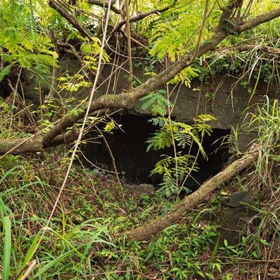 陸軍野砲陣地トーチカの後方部分の写真