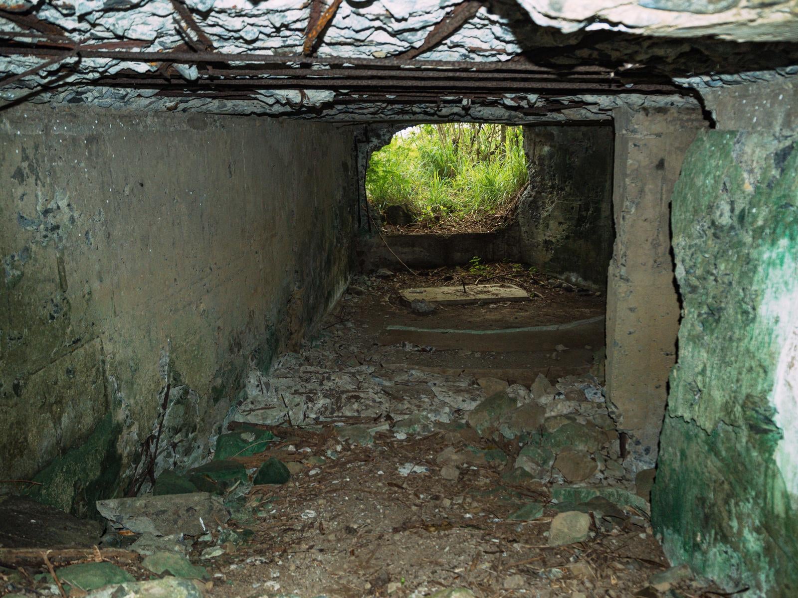 「後方から覗き見た陸軍野砲陣地トーチカ内部」の写真