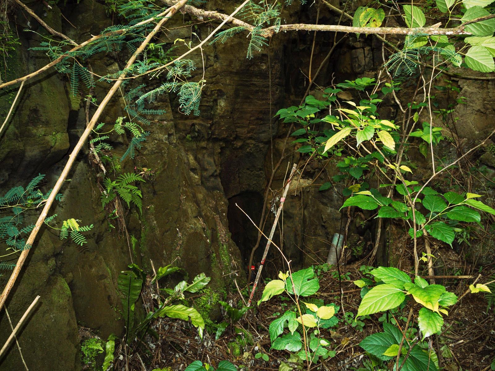 「陸軍野砲陣地と戦車壕の間にある壕口」の写真
