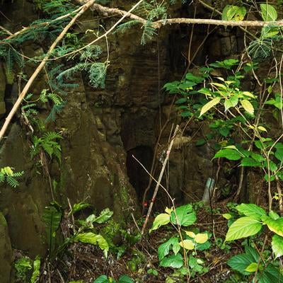 陸軍野砲陣地と戦車壕の間にある壕口の写真