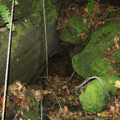 苔むした岩に隠れた陸軍野戦病院壕口の写真