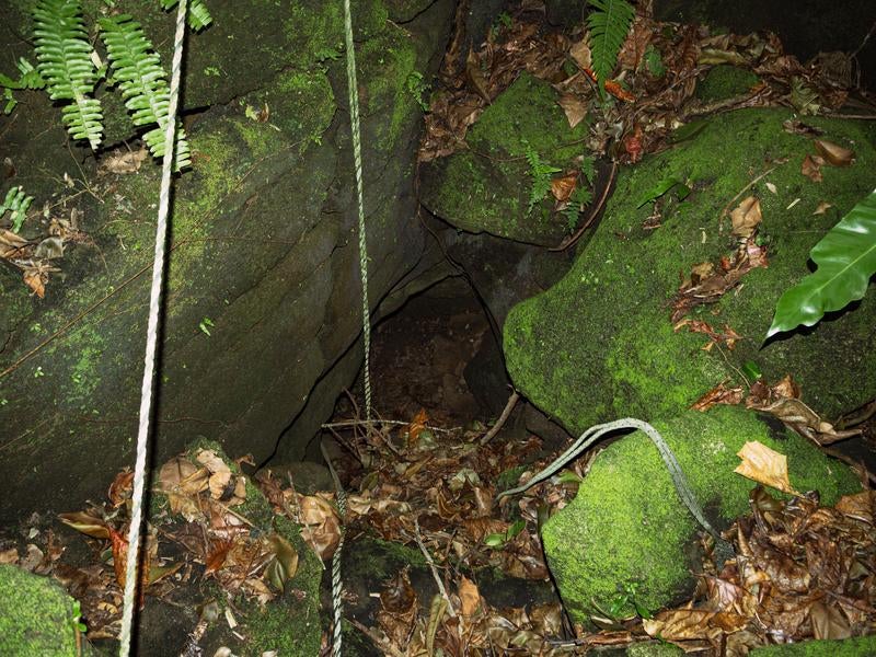 苔むした岩に隠れた陸軍野戦病院壕口の写真