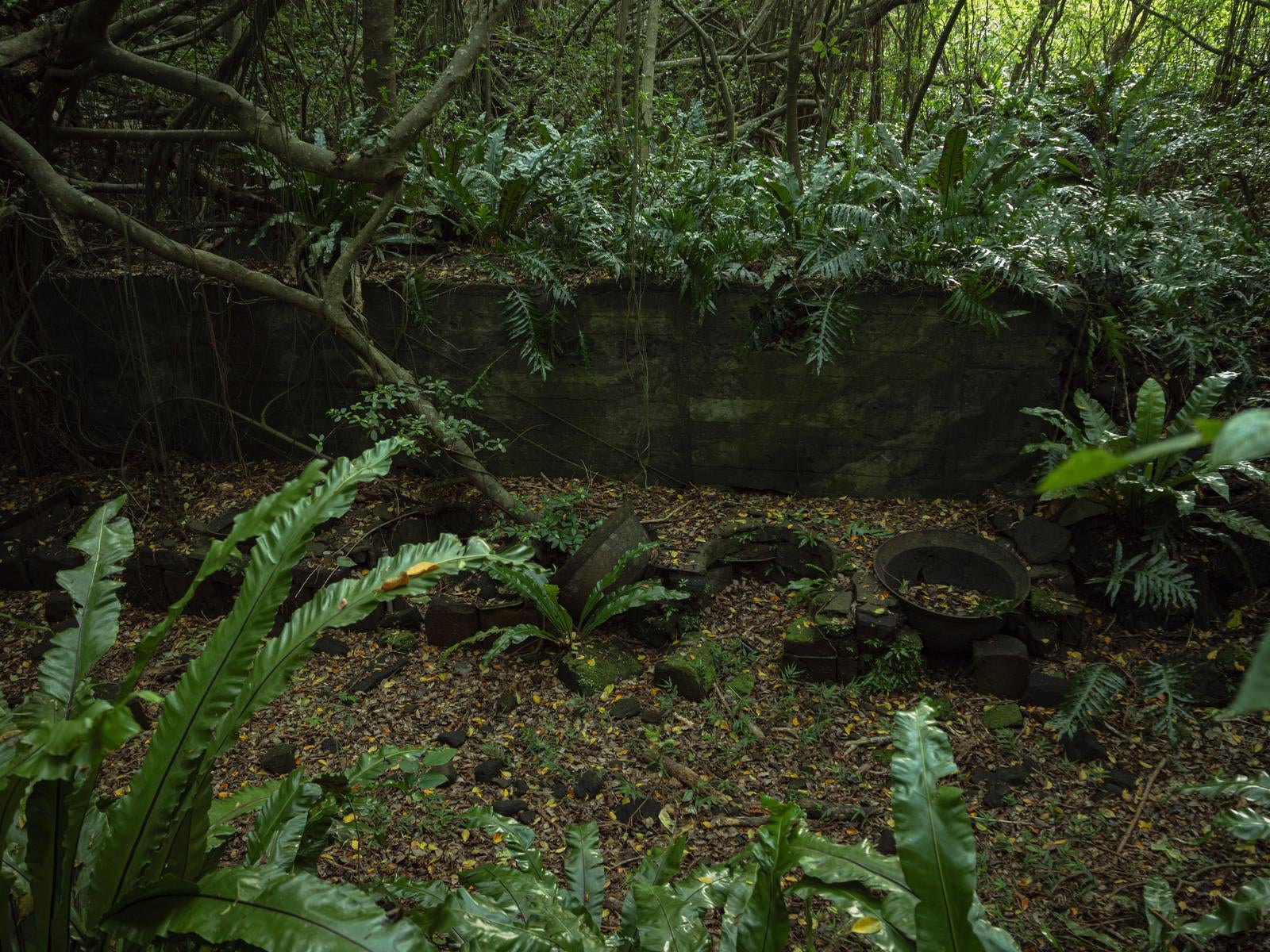 「苔むす石垣と積もる落ち葉と釜場跡の静寂」の写真