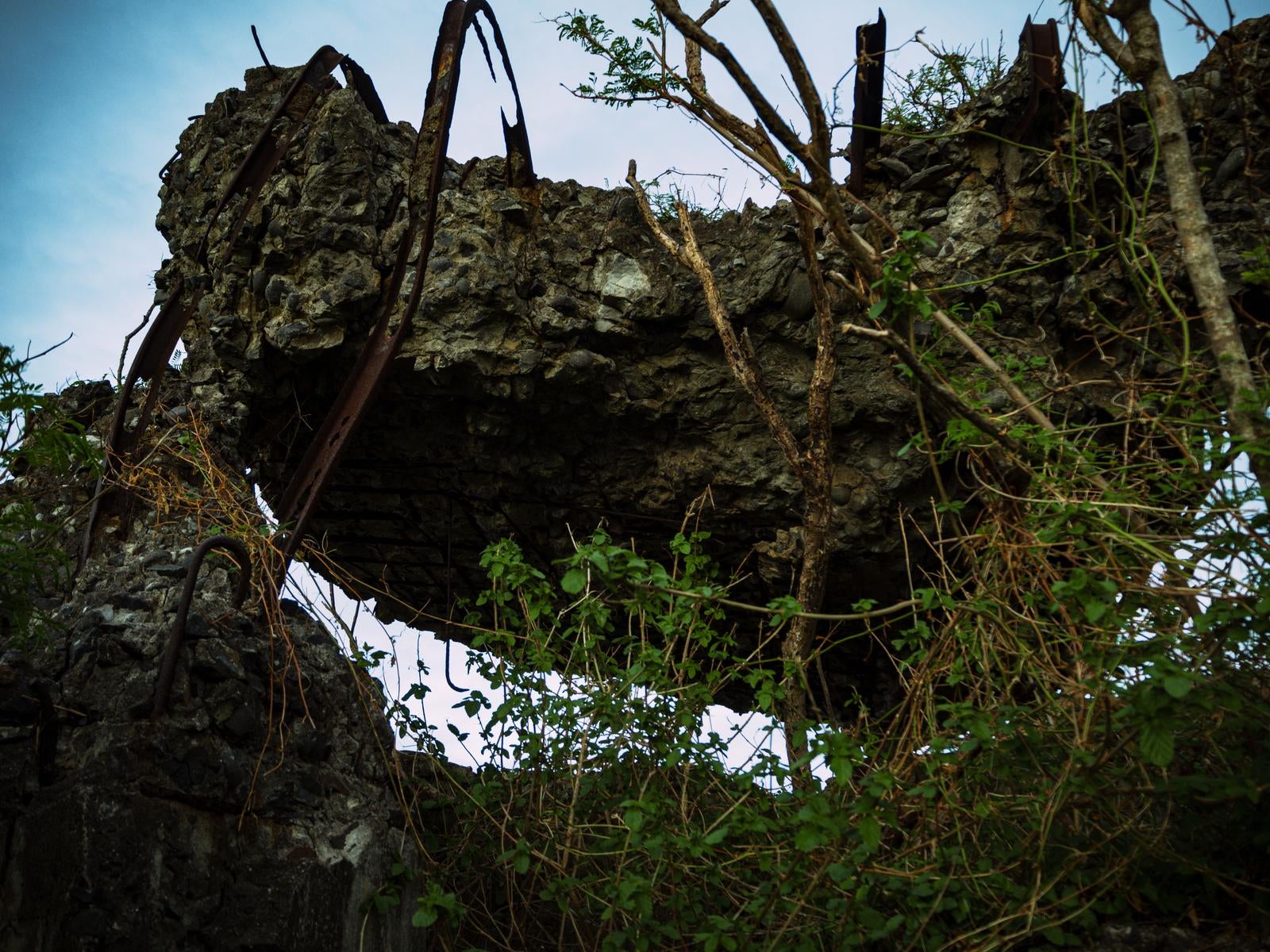 Collapsed concrete tochiка blockhouse walls and rusted reinforcing steel bars covered with vegetation on Iwo Jima (Iōjima)