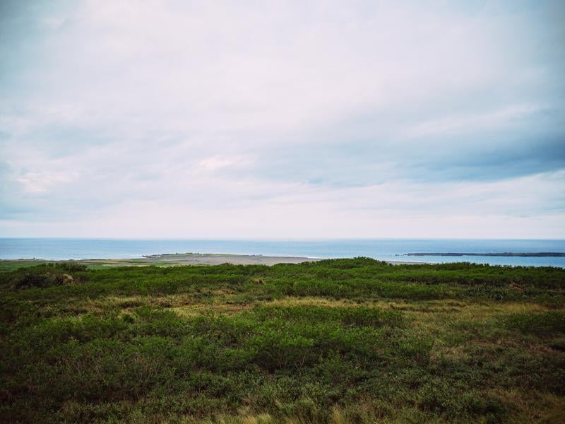 硫黄島の海辺草原と米軍IWOパブから観た釜岩の写真