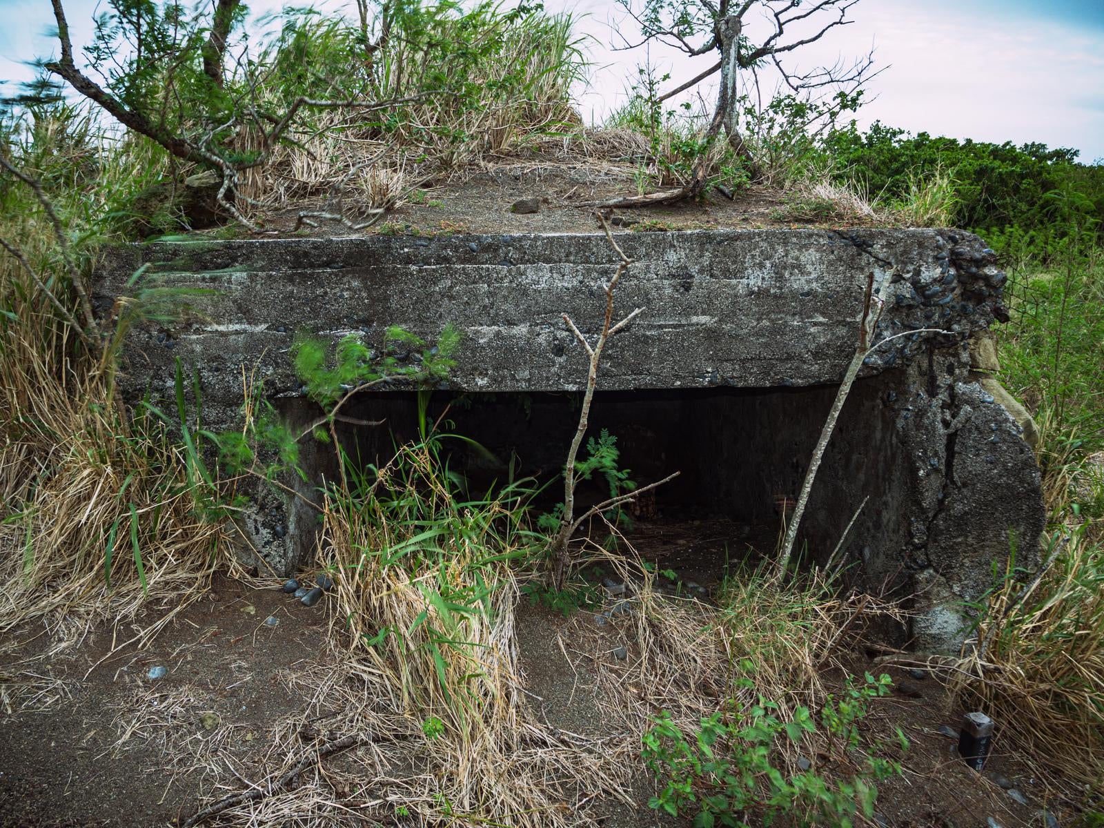 「草木に囲まれた地熱ヶ原のトーチカ開口部」の写真