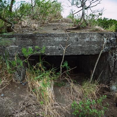 草木に囲まれた地熱ヶ原のトーチカ開口部の写真