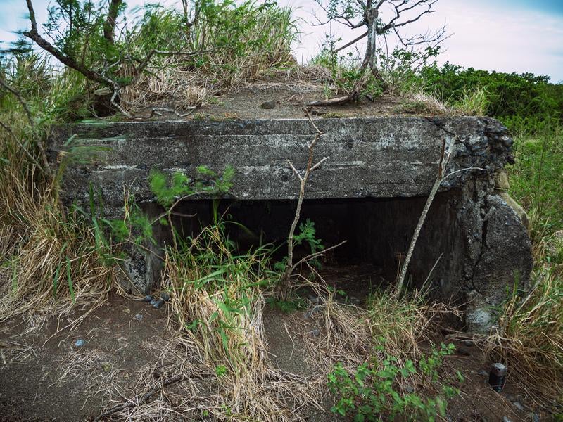 草木に囲まれた地熱ヶ原のトーチカ開口部の写真