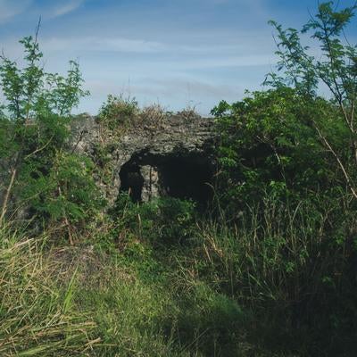緑豊かな草原に佇む戦時中の防空壕跡地の写真