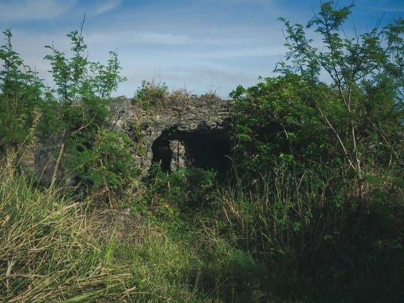 緑豊かな草原に佇む戦時中の防空壕跡地の写真