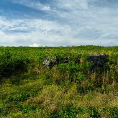 硫黄島南海岸に残る草木に覆われた戦時中のトーチカ跡の素材