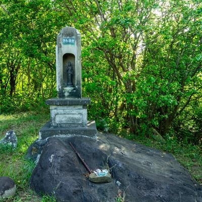 硫黄島の南観音慰霊碑を囲む新緑の森の写真