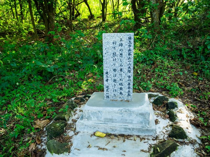 石碑に刻まれた歴史の写真