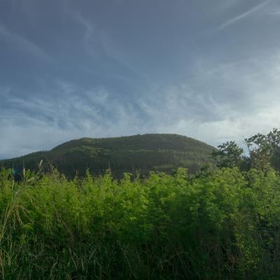 硫黄島摺鉢山の緑豊かな風景の写真