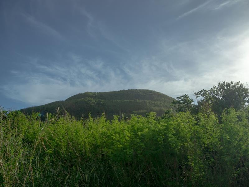The Lush Green Landscape of Mount Suribachi on Iwo Jima