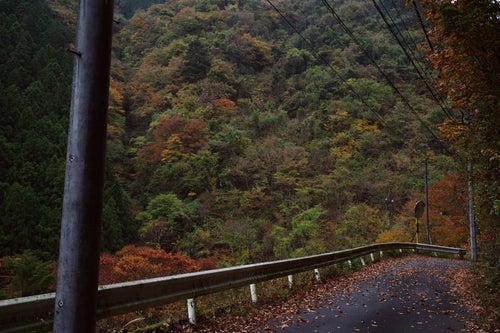 紅葉がはじまる山中の写真
