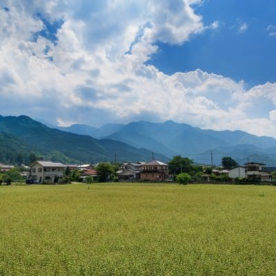 田んぼと田舎の風景の写真