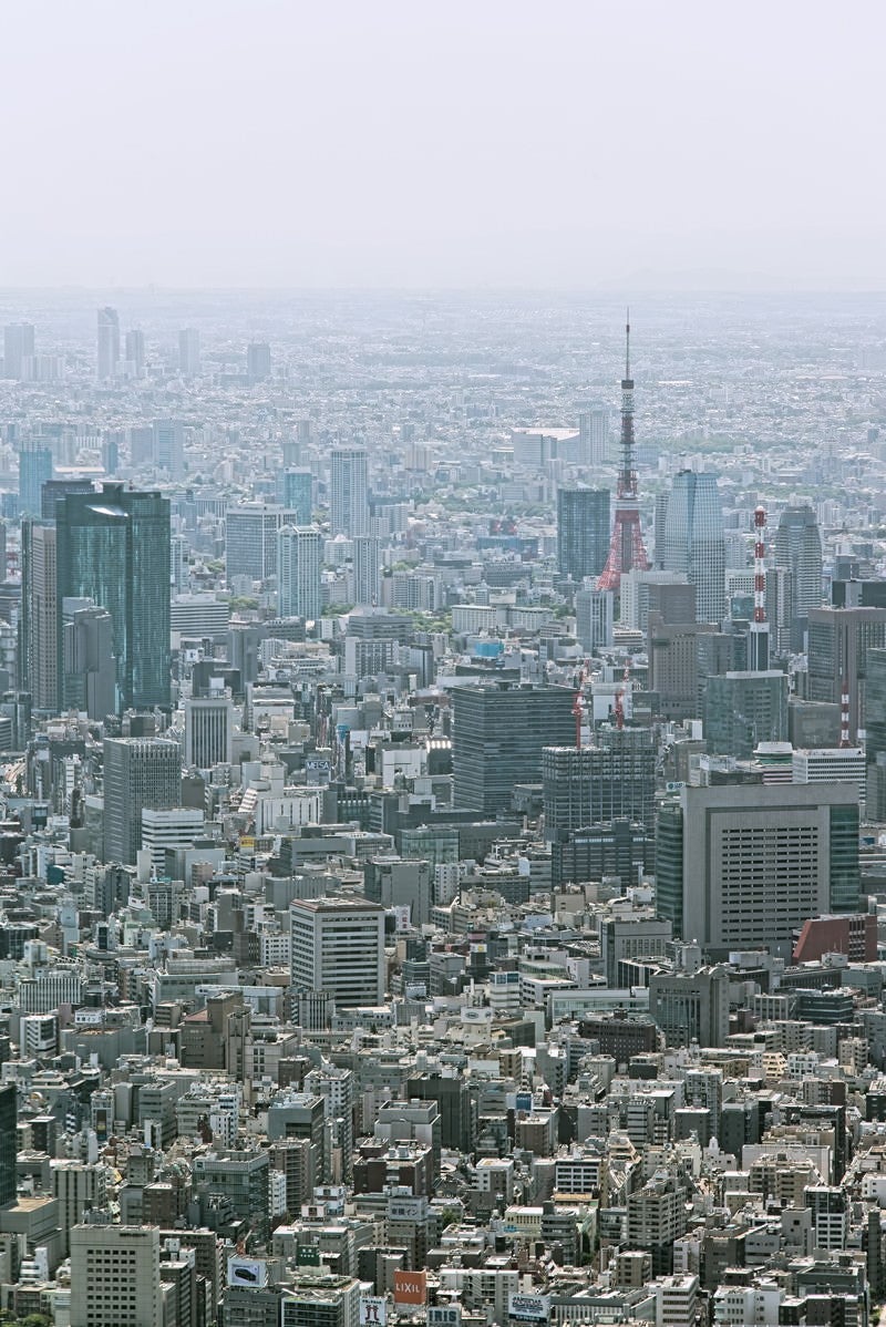 東京タワーとビル群の写真