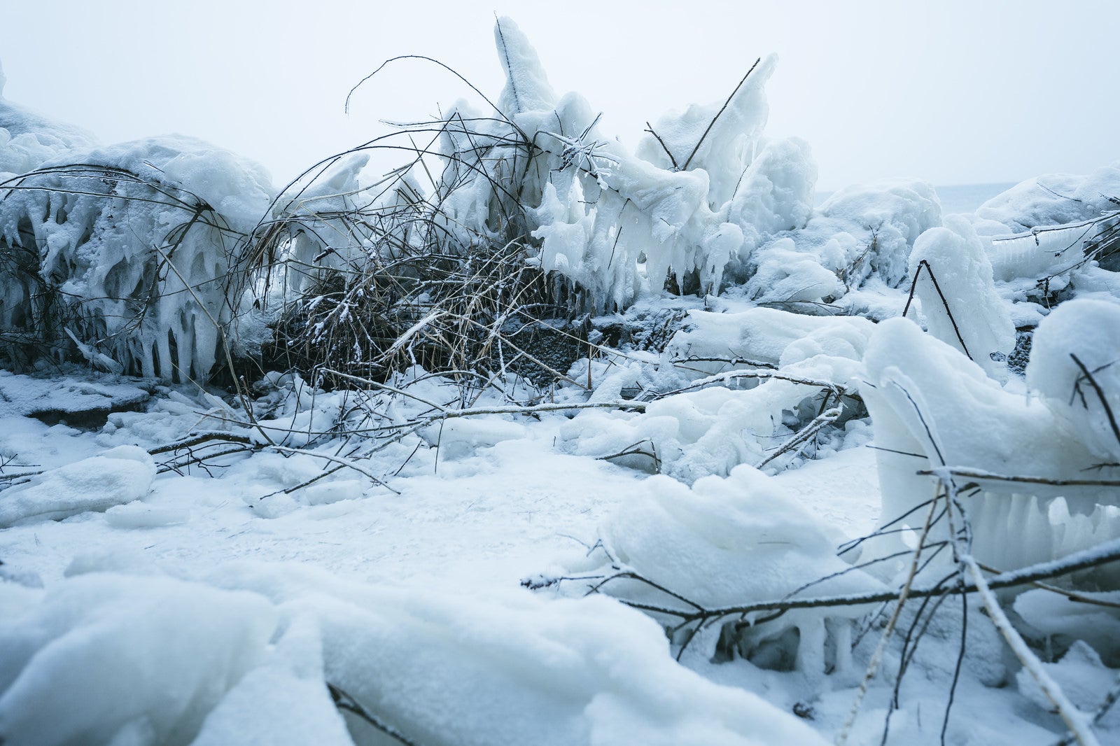「凍てつく飛沫氷」の写真