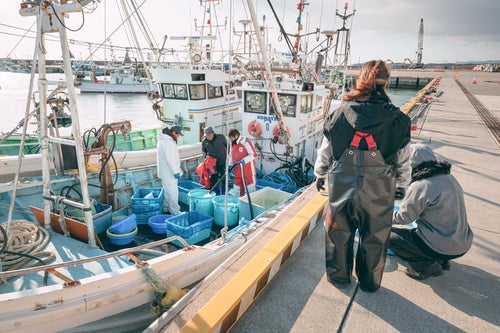 請戸漁港で水揚げ中の漁師の写真