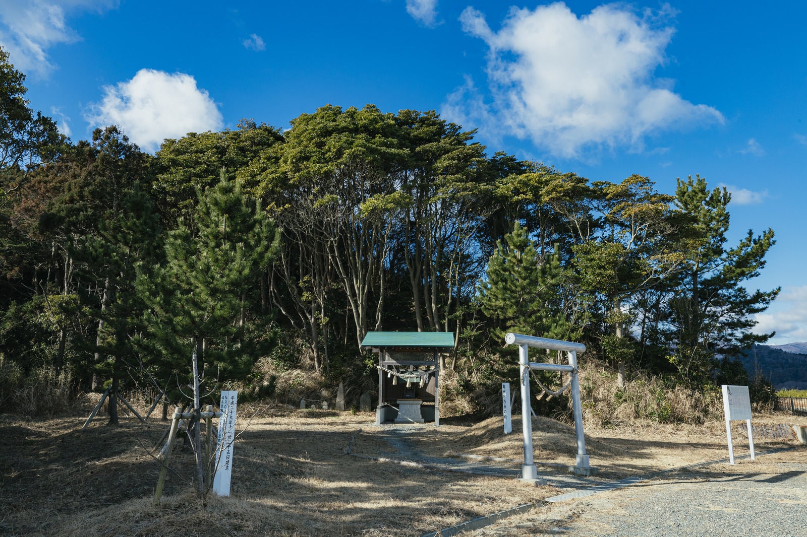 「姥嶽蛇王神社前の鳥居」の写真