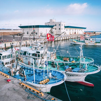漁船が停泊する請戸漁港の写真