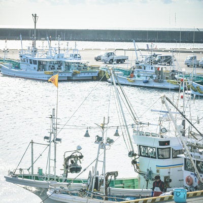 請戸漁港に停泊する漁船の写真