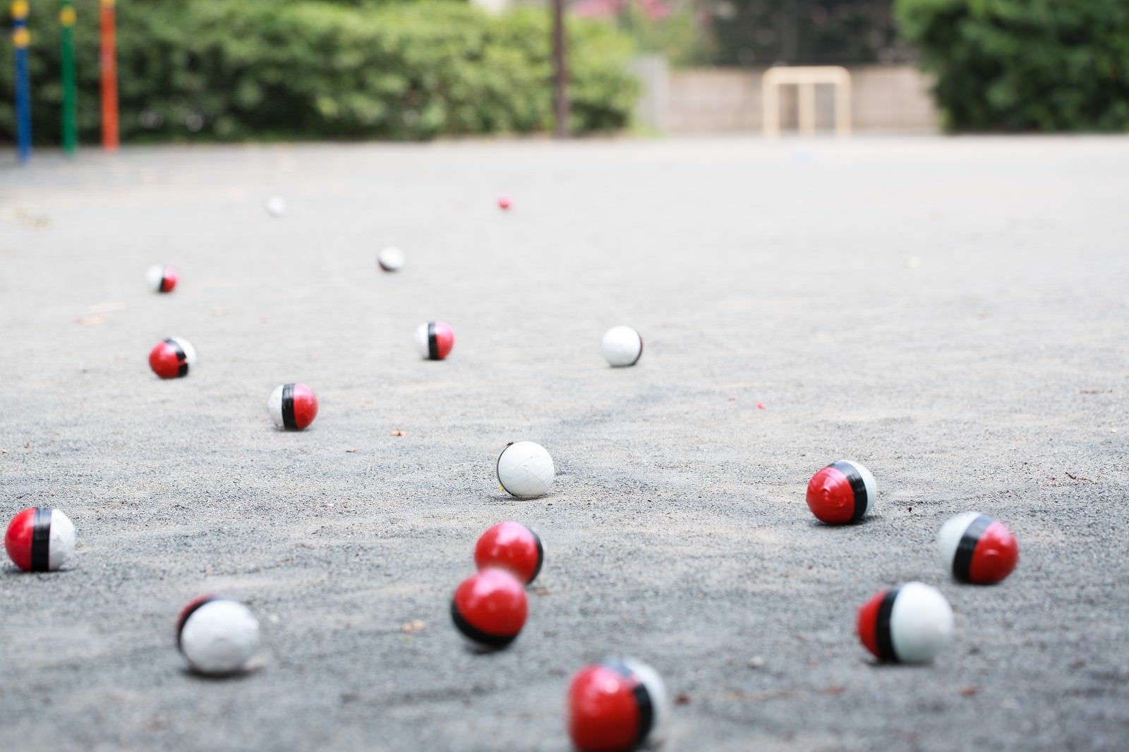 「相棒を連れて紅白ボールが公園に集まってきた」の写真