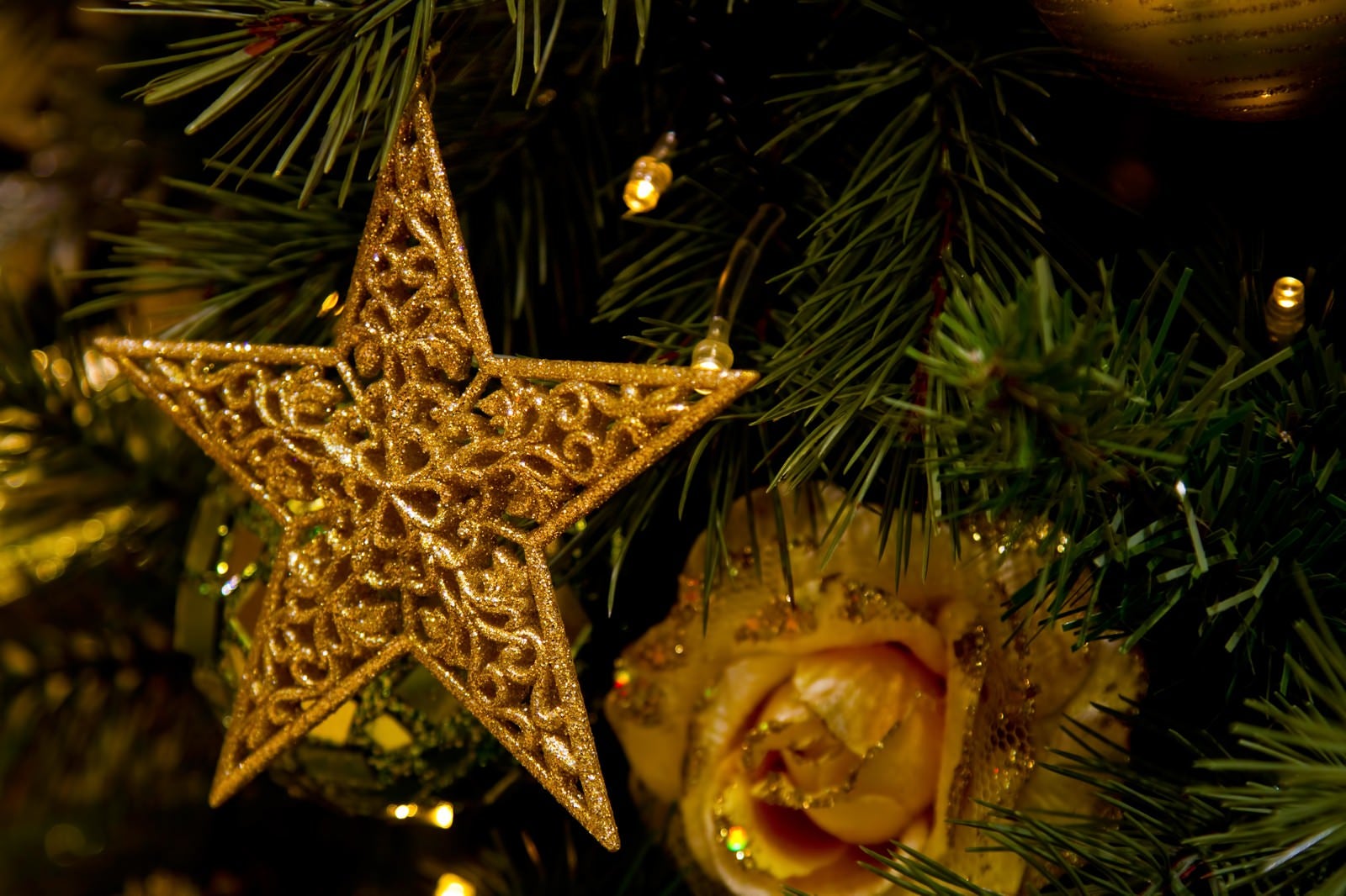 「クリスマスツリーについたスター飾り」の写真