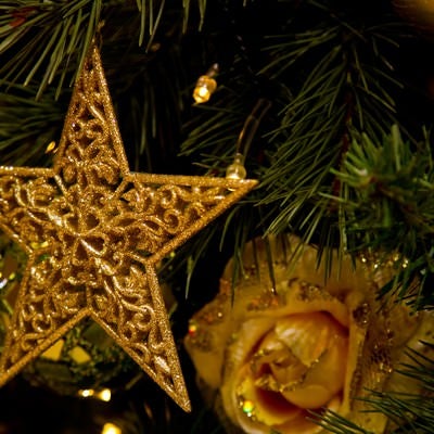 クリスマスツリーについたスター飾りの写真