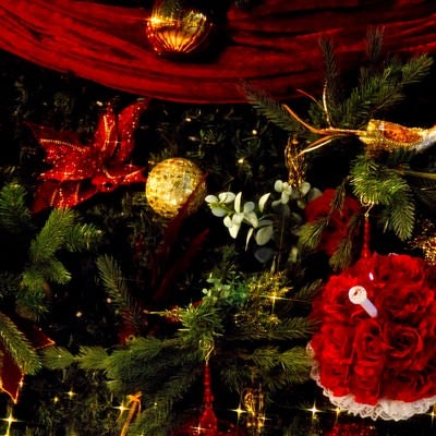 クリスマスツリーの飾りの写真