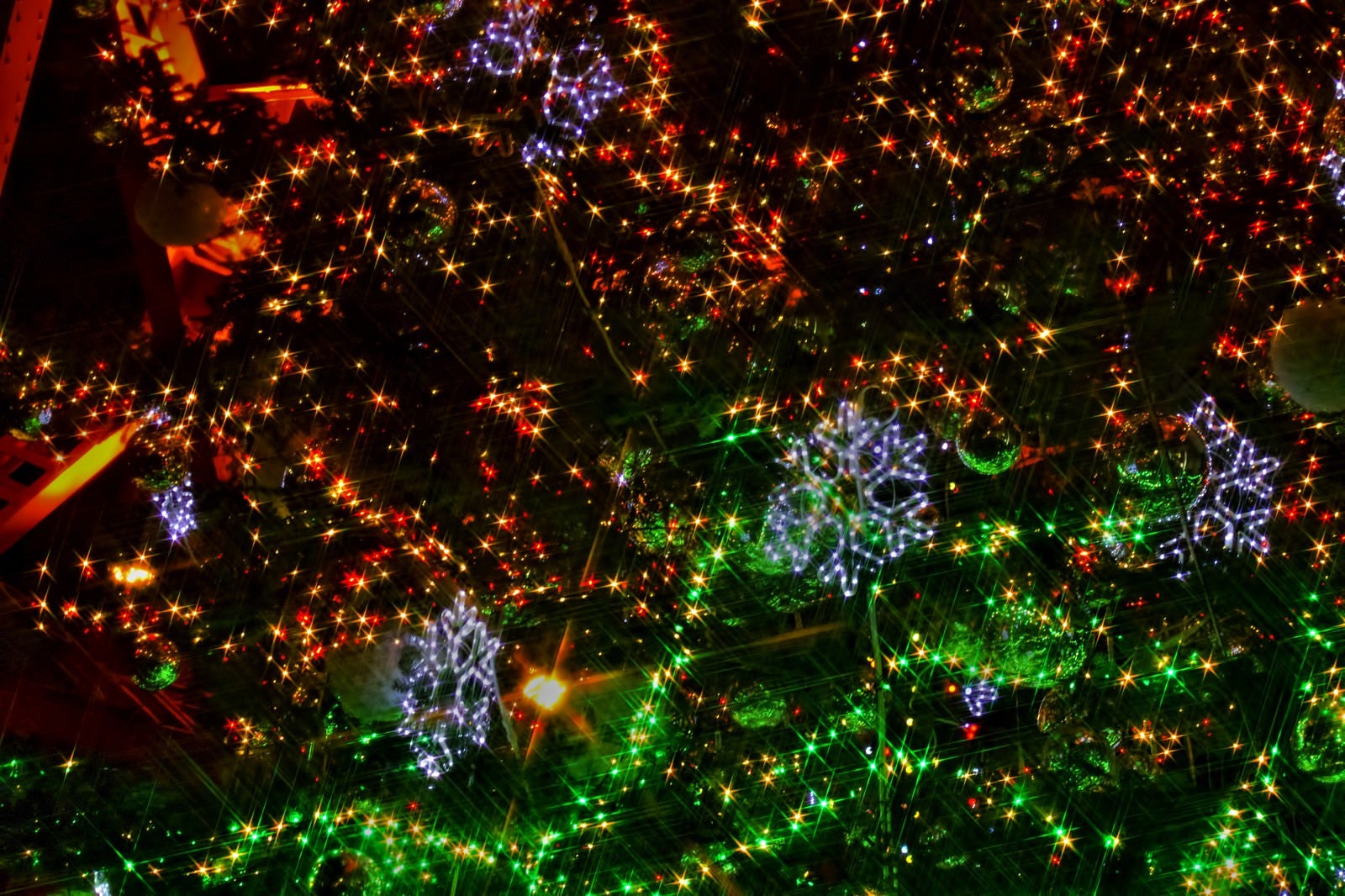 「クリスマスツリーのイルミネーション」の写真