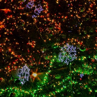 クリスマスツリーのイルミネーションの写真