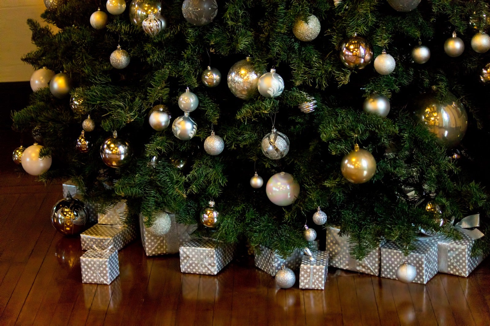 「クリスマスツリーとプレゼント」の写真