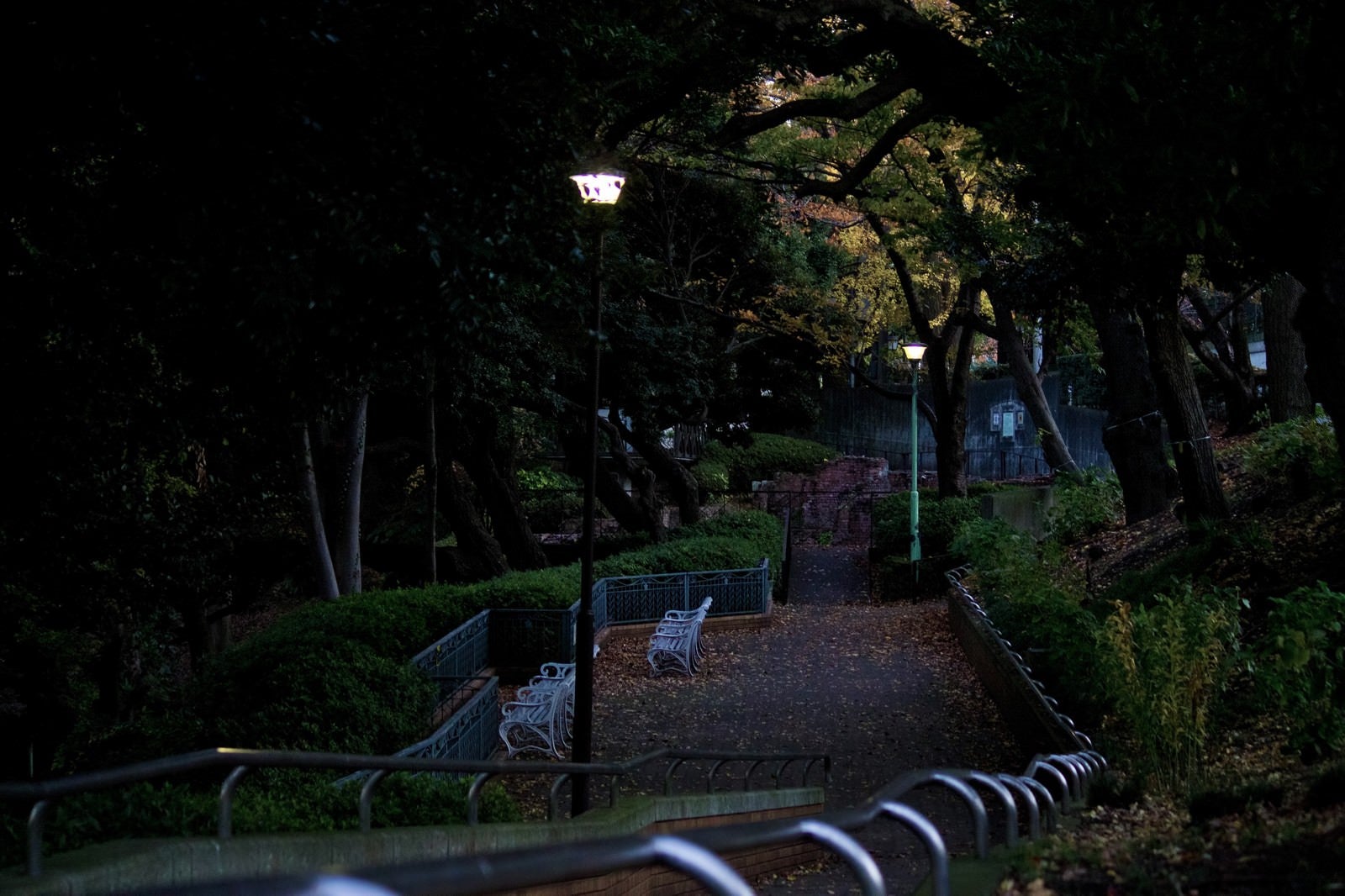 「日が暮れた公園と階段」の写真