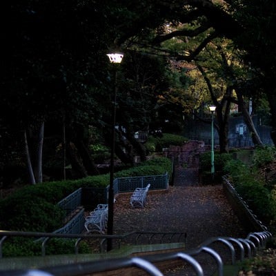 日が暮れた公園と階段の写真