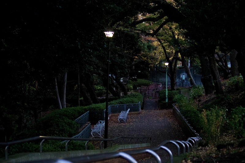 日が暮れた公園と階段の写真
