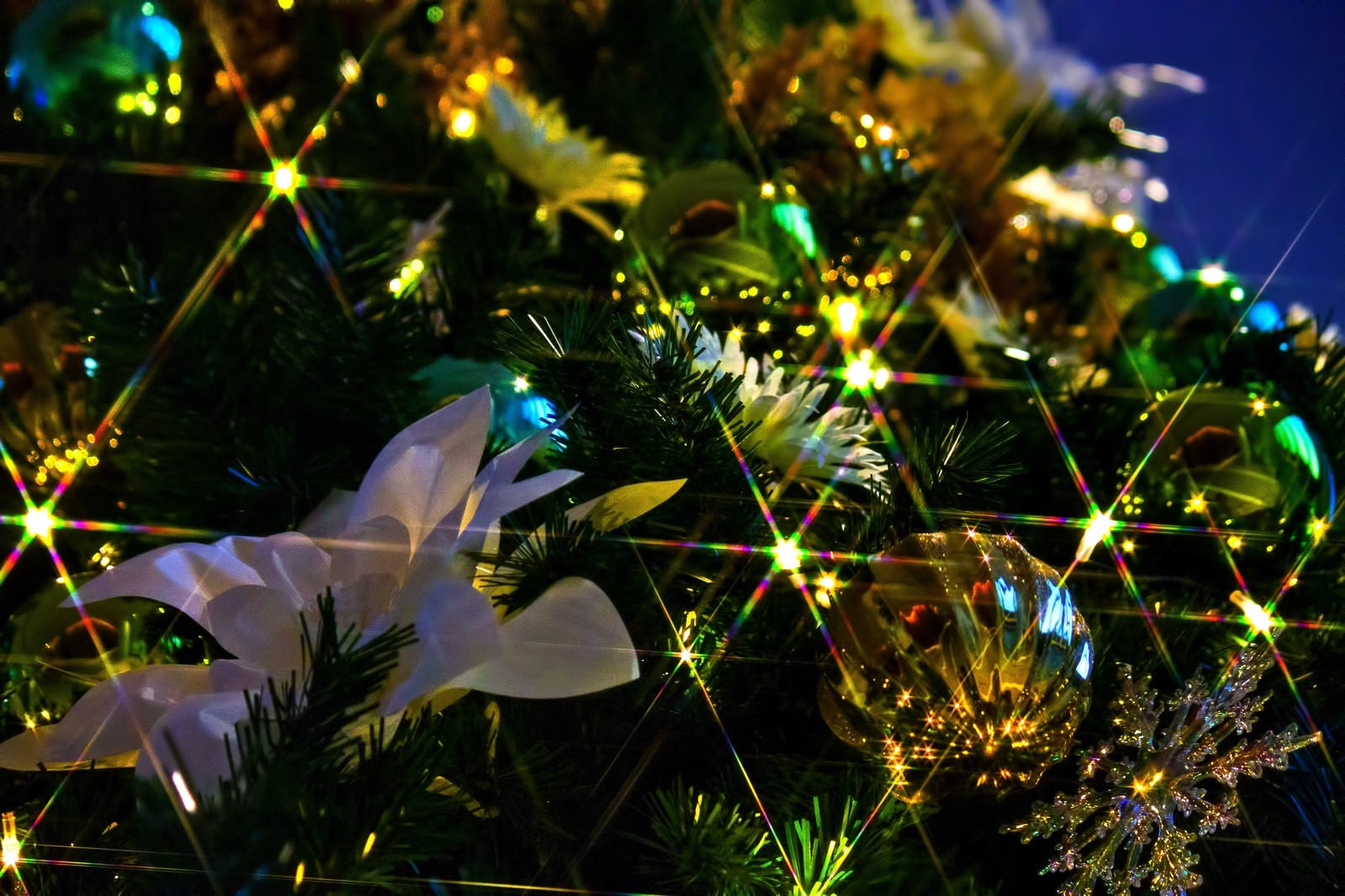 「輝くクリスマスツリーの飾り」の写真