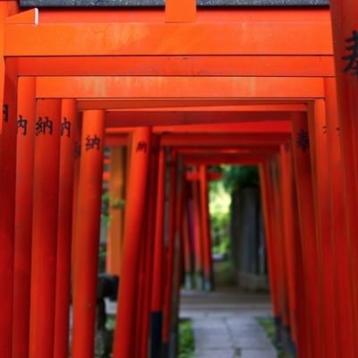 稲荷神社と赤い鳥居の写真