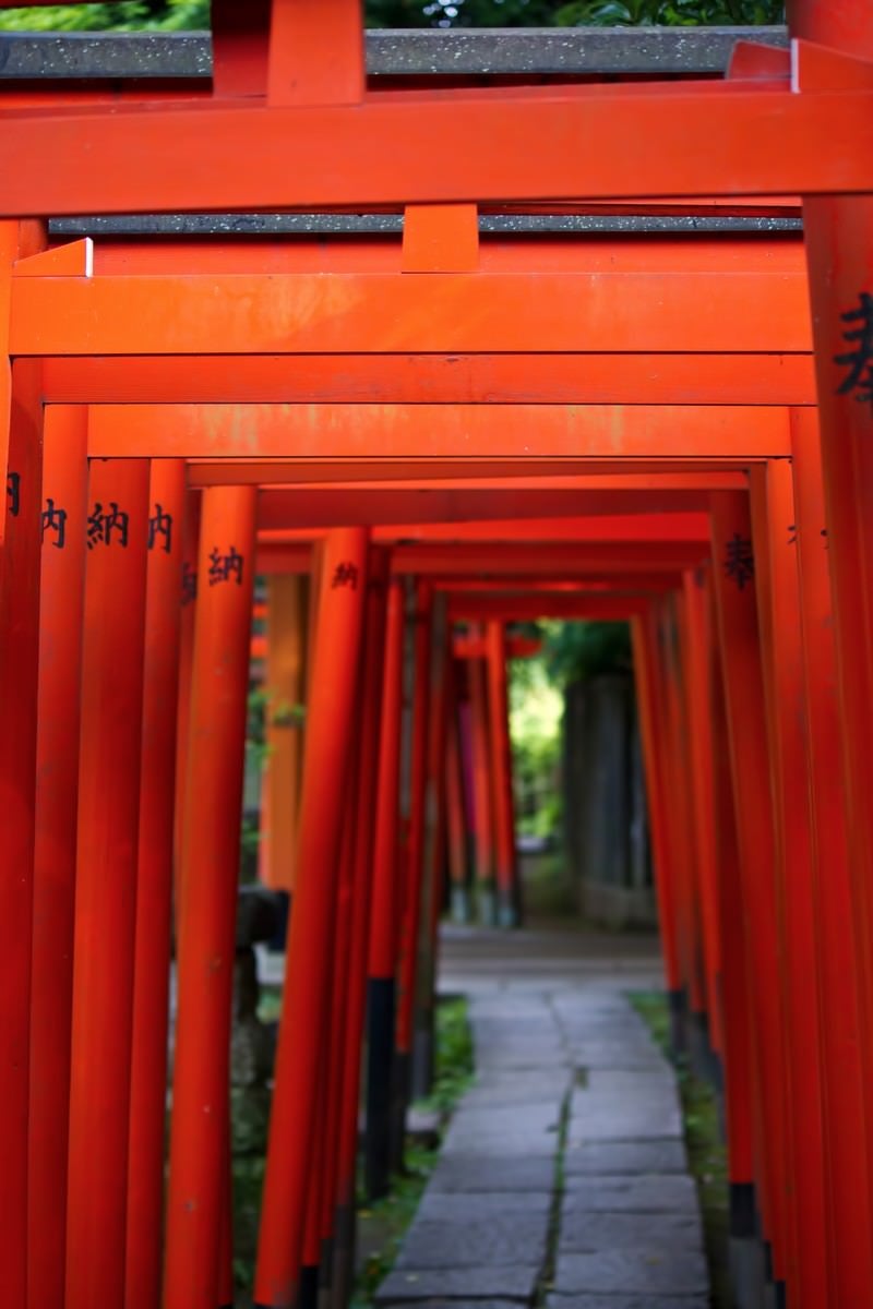 「稲荷神社と赤い鳥居」の写真