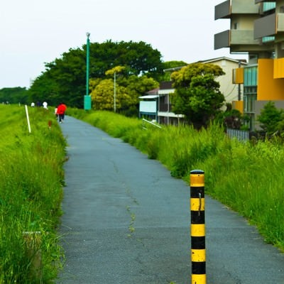 河川敷の散歩コースの写真