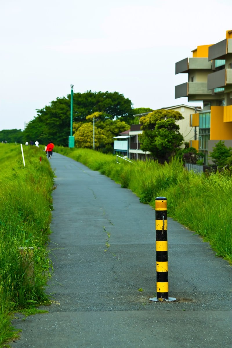 「河川敷の散歩コース」の写真