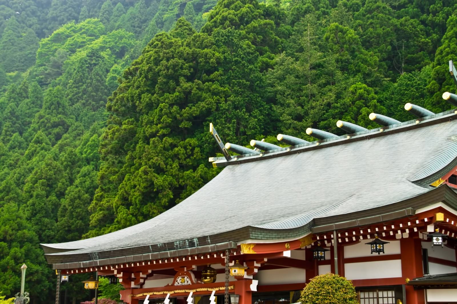 「大山阿夫利神社」の写真