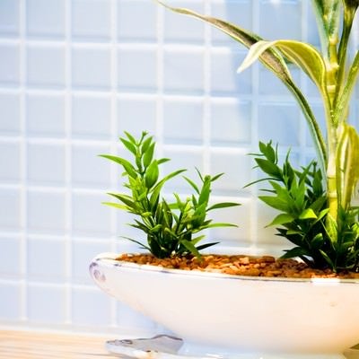 清潔感あるタイルと観葉植物の写真