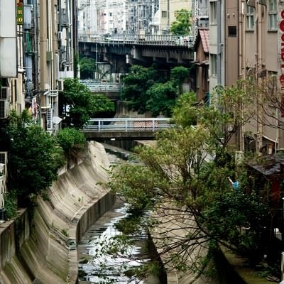渋谷川と街並みの写真