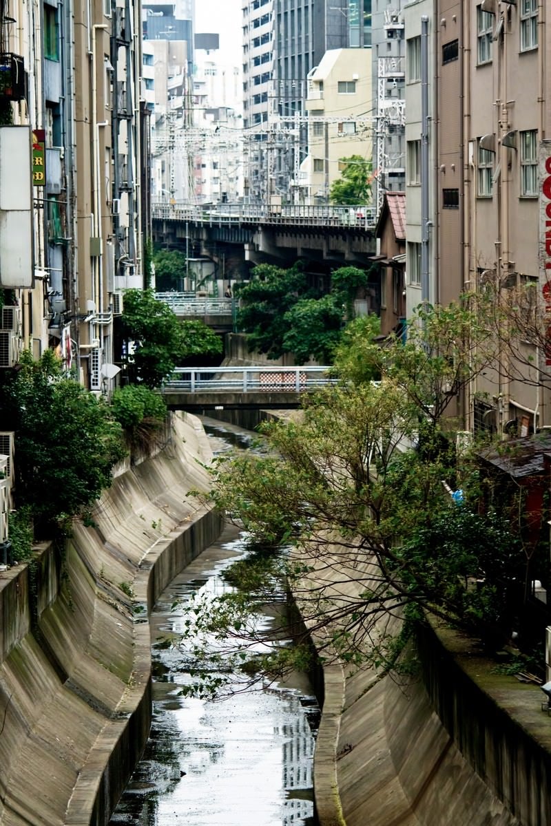 「渋谷川と街並み」の写真