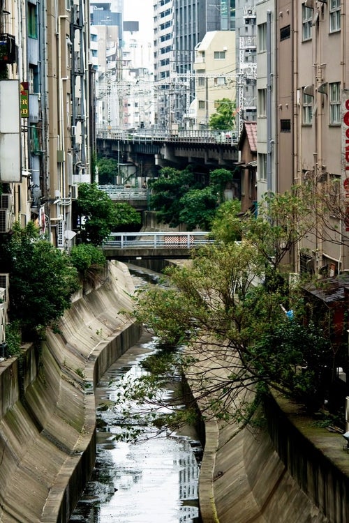 渋谷川と街並みの写真